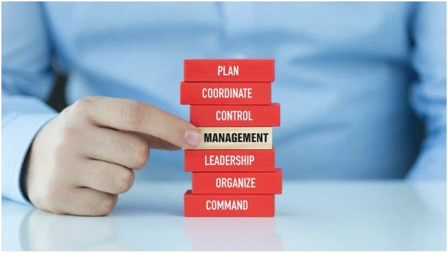 How Does Wealth Management Work Step by Step?